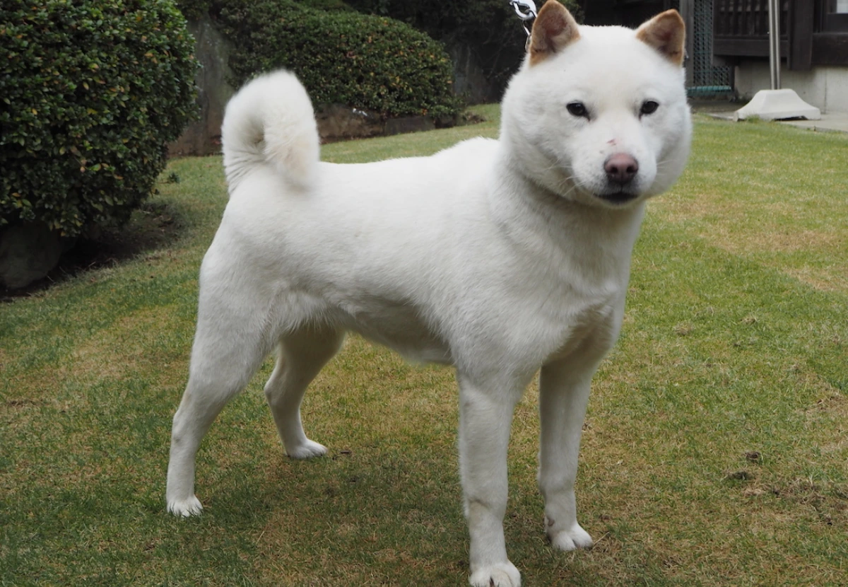 Hokkaido